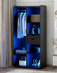 2-Door Wardrobe Armoire with LED Lights