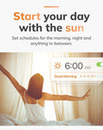 Motorized Smart Curtains with App & Voice Control